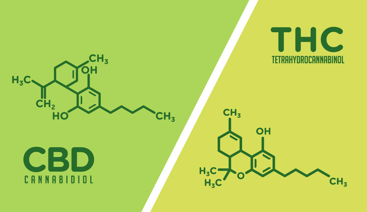 Survey Identifies Gaps in Physician Knowledge About Cannabis and Cannabinoids image