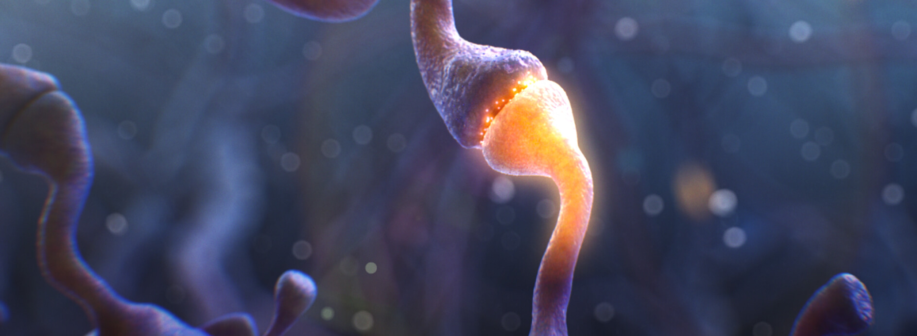 A closeup of neurotransmitters passing between neurons