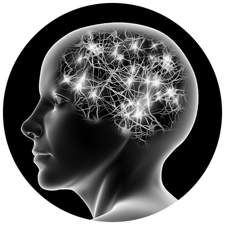 Endocannabinoids