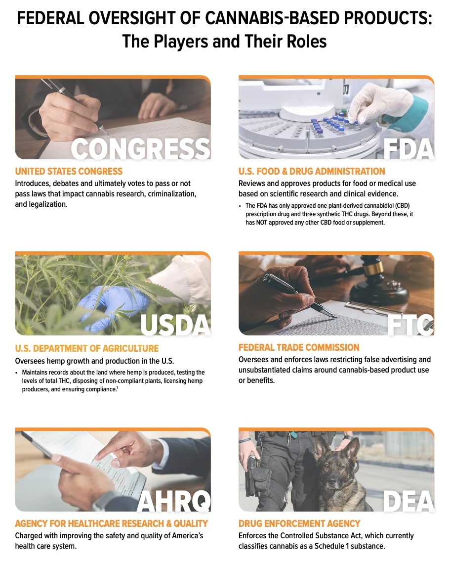 Federal oversight of Cannabis-based products: the key players and their roles infographic