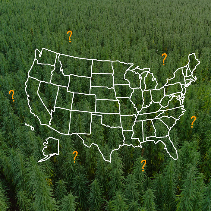 Illustrated outline map of the United States overlaid on a cannabis field with question marks scattered across different states