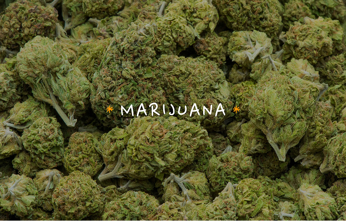 Close-up of cannabis buds with the word “Marijuana” overlaid