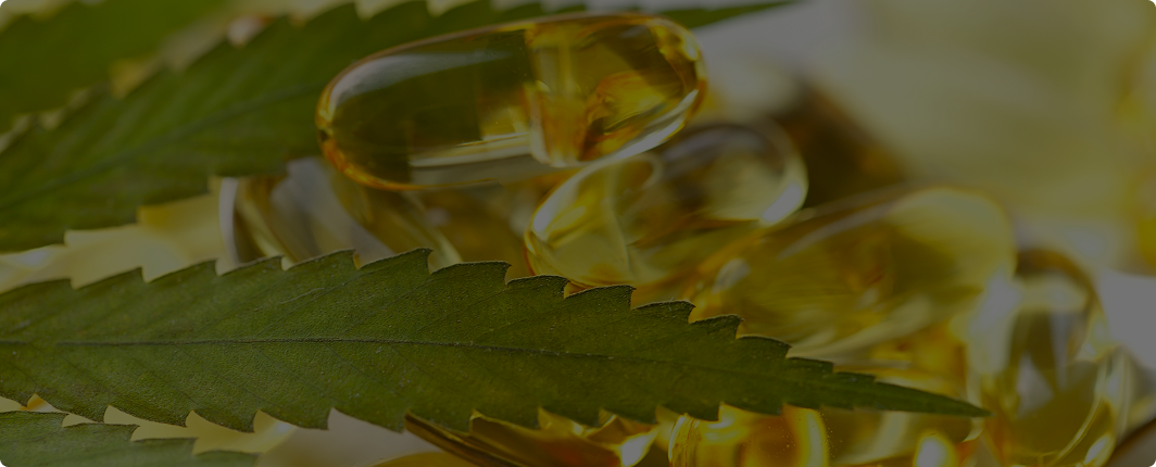 Cannabis leaf in the foreground with amber CBD oil capsules in the background